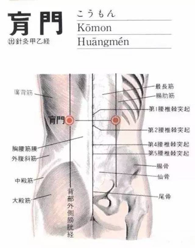 极泉穴:心痛,咽干烦渴,胁肋疼痛