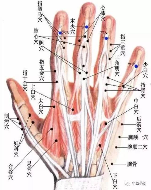 针灸:董氏针灸七十二绝(收藏篇)