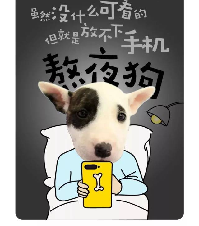 熬夜狗