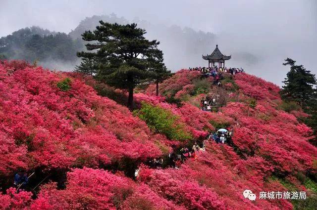 人间仙境!麻城龟峰山的震撼美景惊艳了四季