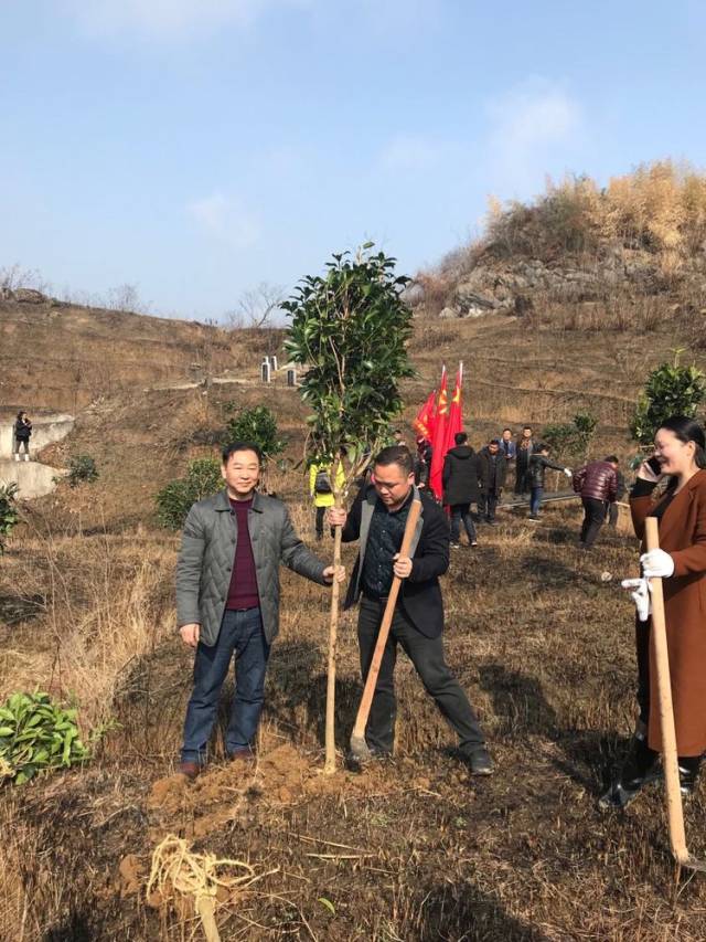 涟源市人社局局长李志雄带领干部职工到茅塘镇道童村开展义务植树活动