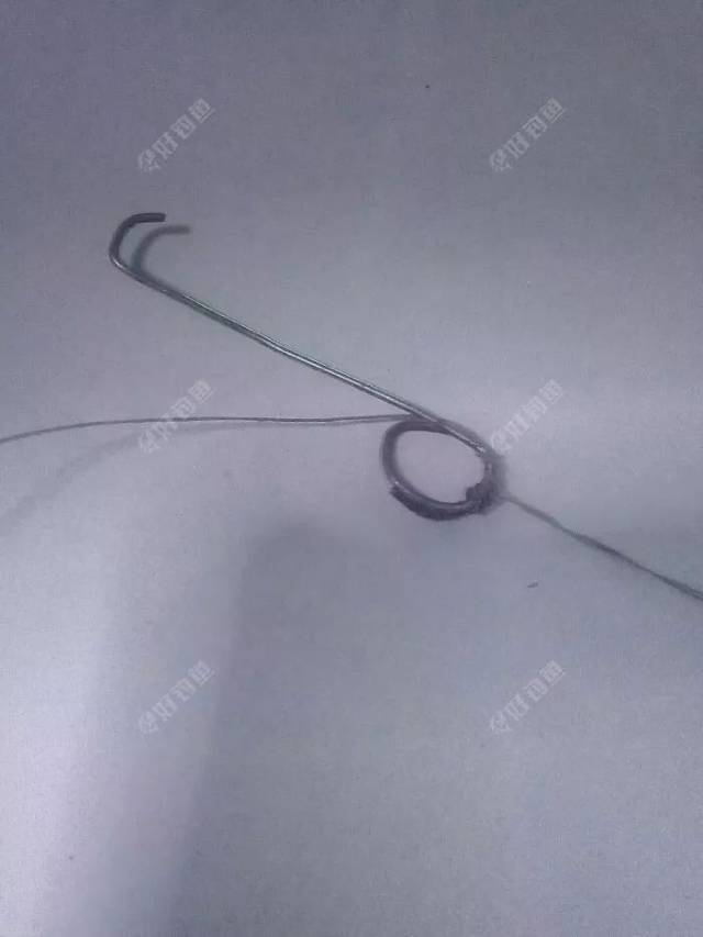 大力马线选取合适长度,在线的上端用铁丝做一个挂钩