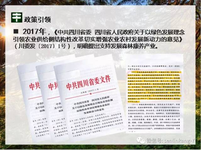【康养】构建森林康养政策体系