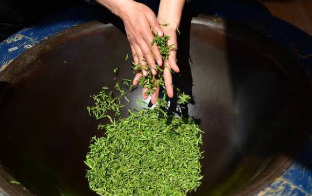 炒茶讲火候,泡茶讲温度