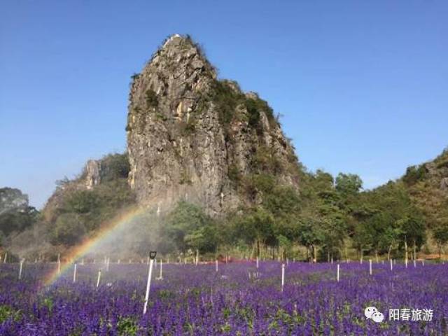 2018年2月24/25(周六日)出发阳春市春湾石林玻璃栈道和滑道,赏油菜花