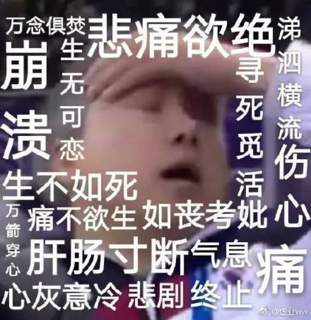 73775cae37484340b08e20ebda9eaccd.jpeg