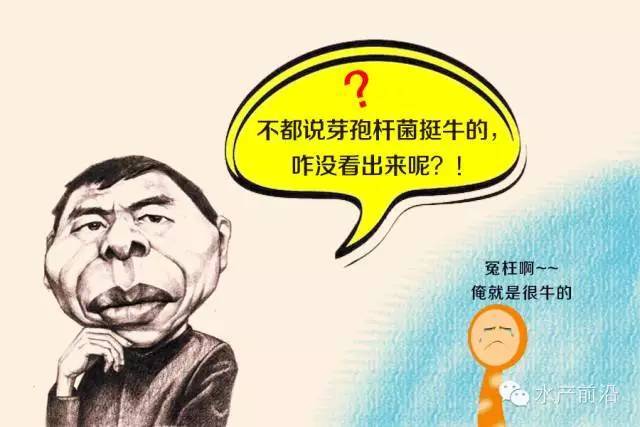 80b531b95db442e4a6e6d28989484014.jpeg