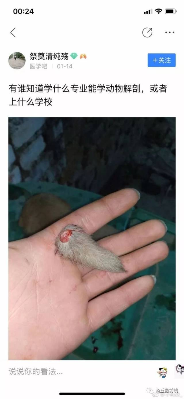 商丘道北一男子长期以虐狗取乐! 网上发布虐狗残忍图片!扩散谴责!