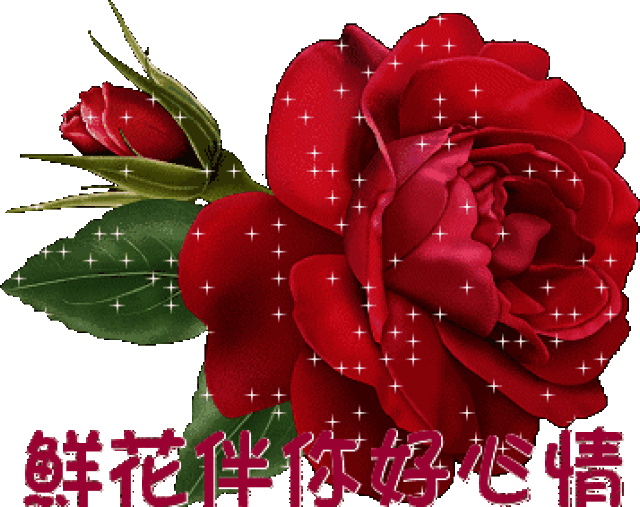 愿这美好心愿化作 最真挚的祝福送给你 今天是个幸福的日子 大年初九