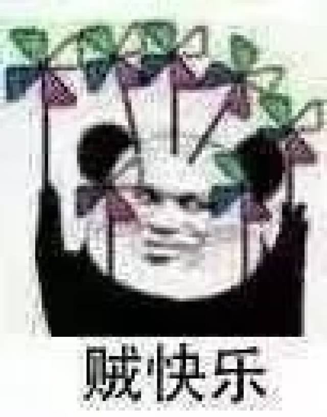 最后祝大家周末愉快~ 往期表情包可以戳下边"阅读原文"来查看哦!