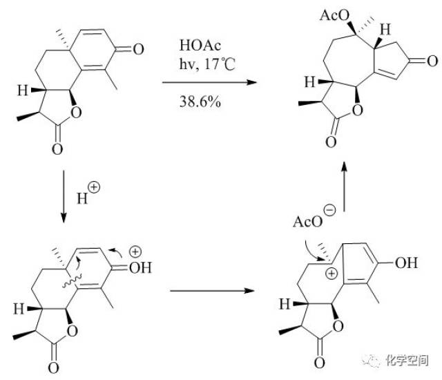 【有机反应百科】山道年(santonin)的光照重排