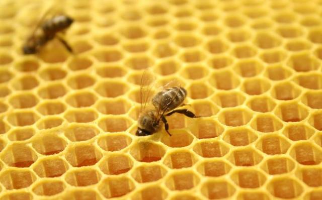 人民日报:14种保健品被吹上天,却没什么卵用