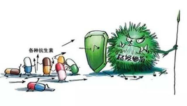 抗生素以前被称为抗菌素,事实上它不仅能杀灭细菌而且对霉菌,支原体