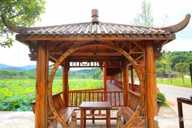 常宁这个村上榜"湖南美丽乡村建设示范村"!
