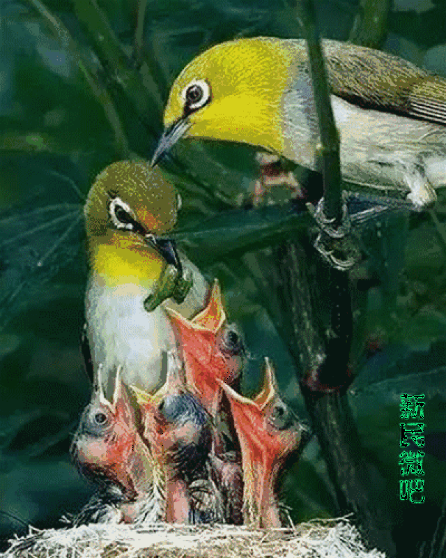 400_500 竖版 竖屏