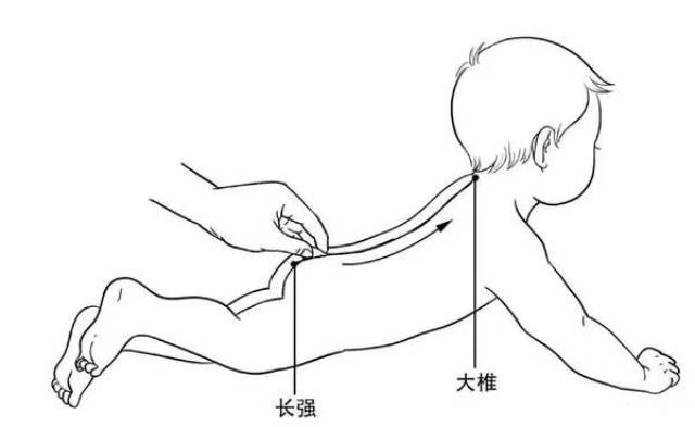 长强穴和大椎穴的位置 当年陈福生(陈发科)老师教拳,经常说:学拳有三