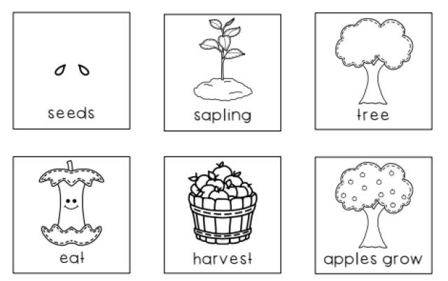 worksheet 制作苹果的生长周期图