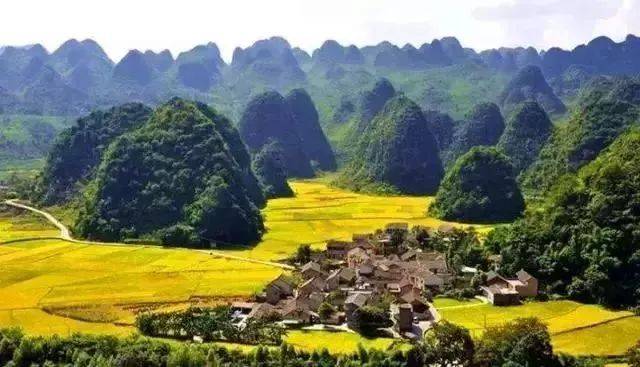 兴义万峰林油菜花,2020兴义万峰林油菜花,兴义万峰林_大山谷图库