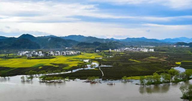 春天最好的告白方式，就是带她去婺源，别辜负这大好春光