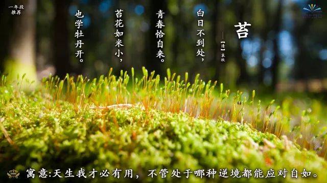 "苔花如米小,也学牡丹开"新学期伊始,梅列区第一实验学校校门口的led