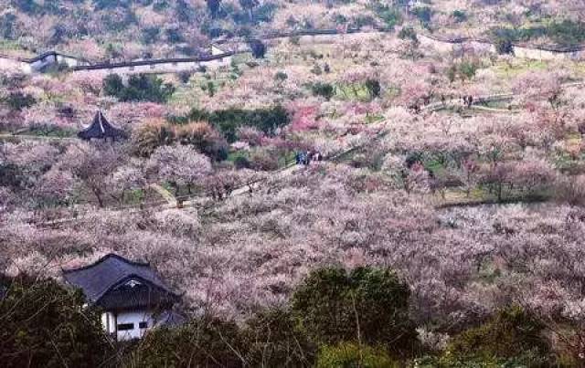 西山林屋洞