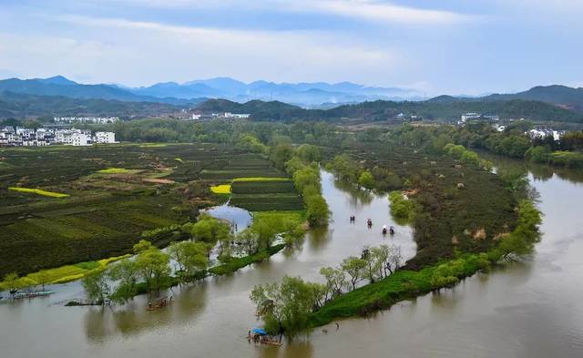 春天最好的告白方式，就是带她去婺源，别辜负这大好春光