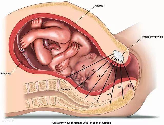 怀孕38周胎儿入盆?胎儿入盆是什么感觉,胎儿入盆多久生?