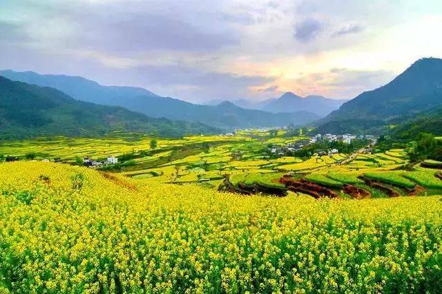 春天最好的告白方式，就是带她去婺源，别辜负这大好春光