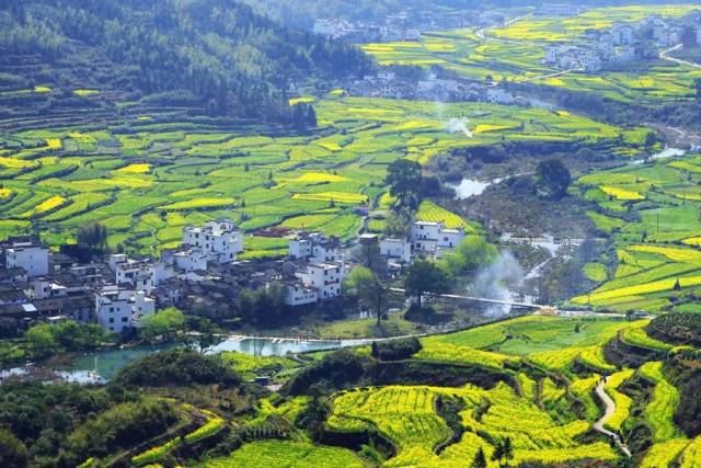 春天最好的告白方式，就是带她去婺源，别辜负这大好春光