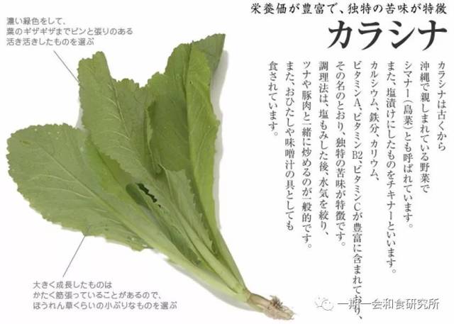 你所说的芥末并非你所想的芥末
