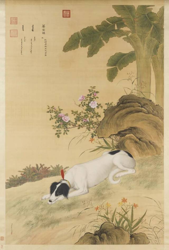 十骏犬图之蓦空鹊 清 郎世宁