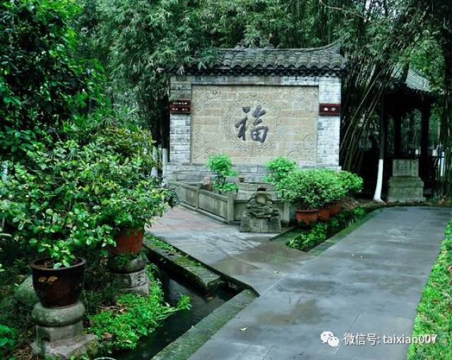 家里有别墅院子的,种树必知!