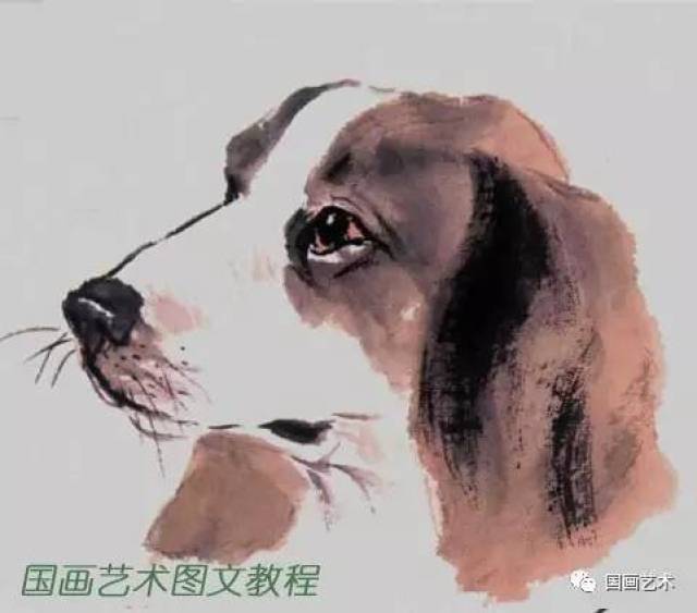 【每天教你学画画】图文教程:小写意画狗技法