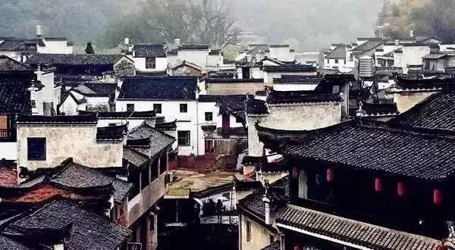 春天最好的告白方式，就是带她去婺源，别辜负这大好春光