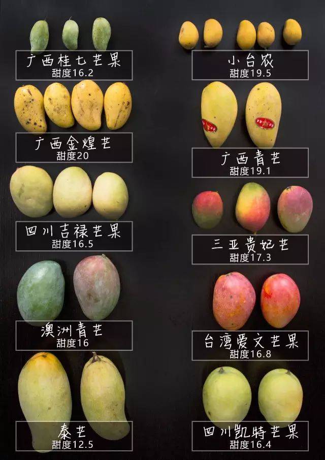哪种芒果最好吃?6个产地,10个品种大pk,告诉你答案!