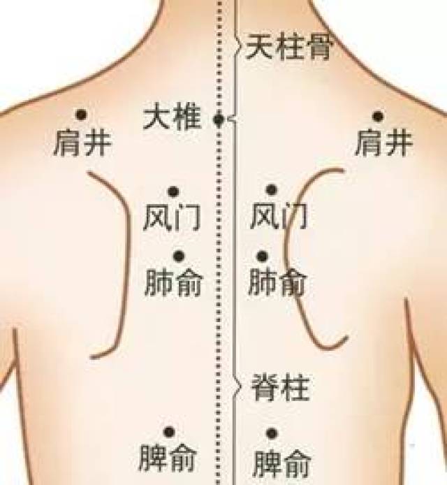 以这几个穴位附近为主:风门穴,肺俞穴,大椎穴吮痧,就是用嘴轻轻吸吮