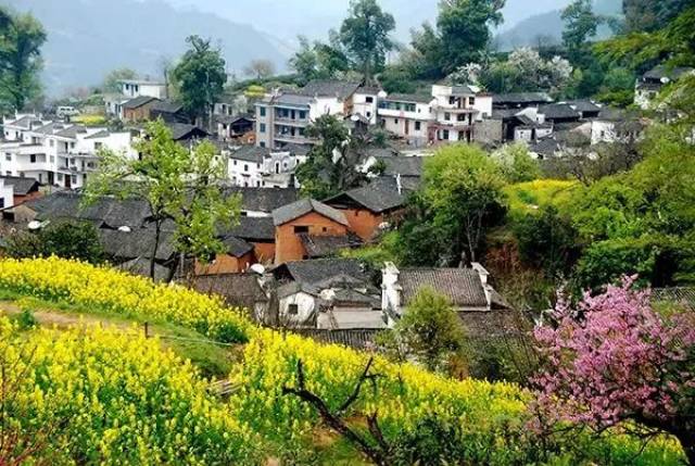 春天最好的告白方式，就是带她去婺源，别辜负这大好春光