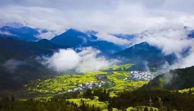 春天最好的告白方式，就是带她去婺源，别辜负这大好春光