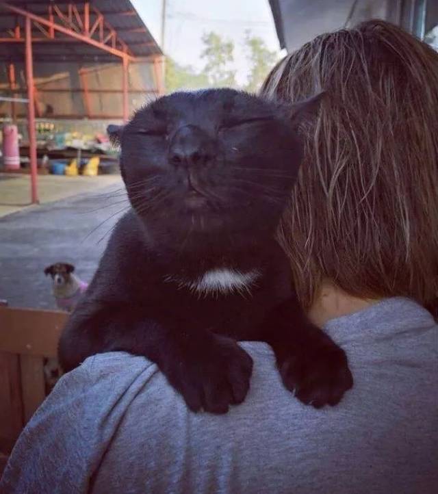 你们是猴子派来搞笑的吗?|爆笑囧图