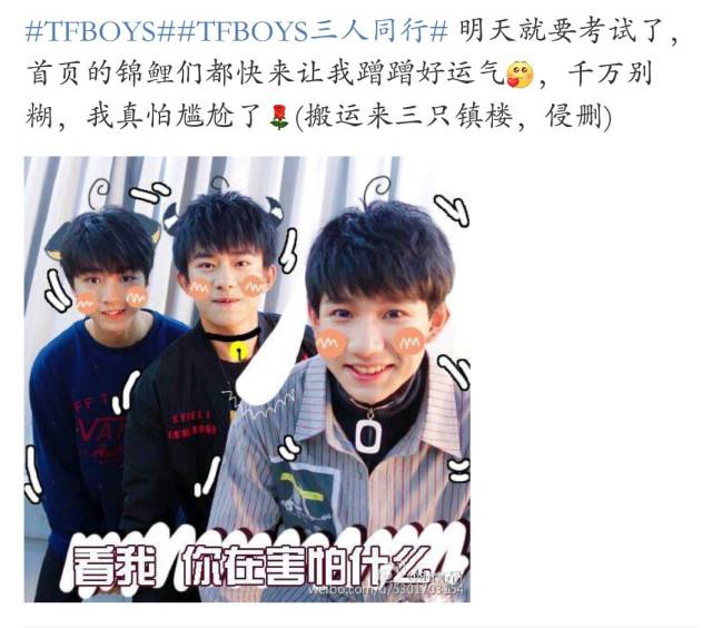 官方拿tfboys表情包助力四六级,网友查完成绩立马晒照