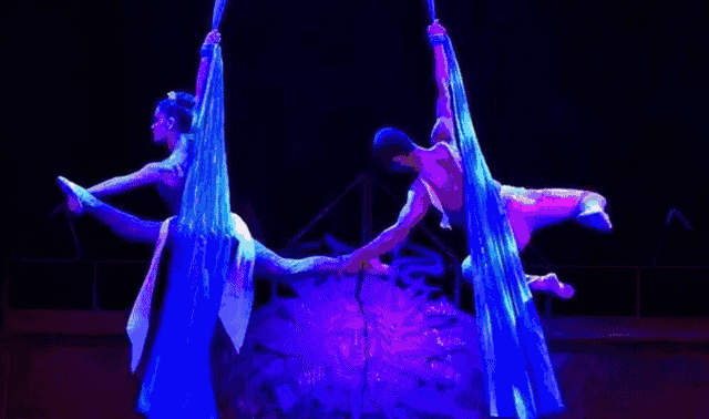 太原周边一日游!奥莱国际大马戏震撼开