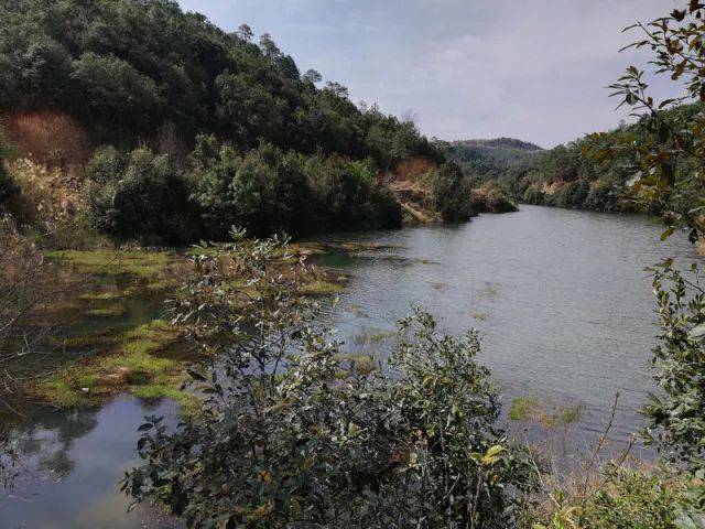 建水大山水库 一段水域的滥觞