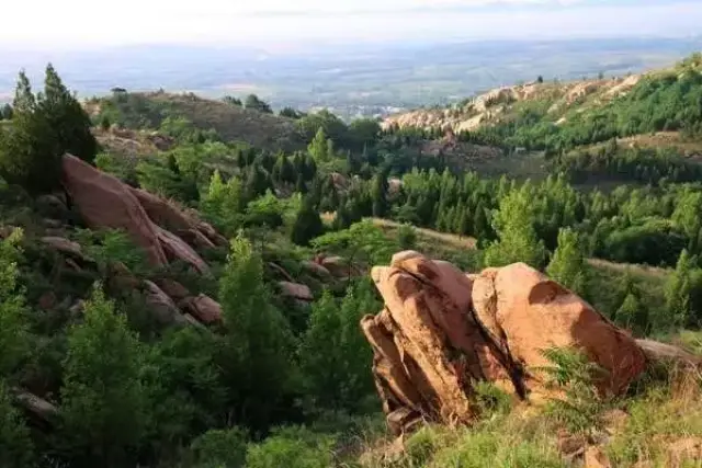 【旅游故事】泗水望母山的传说