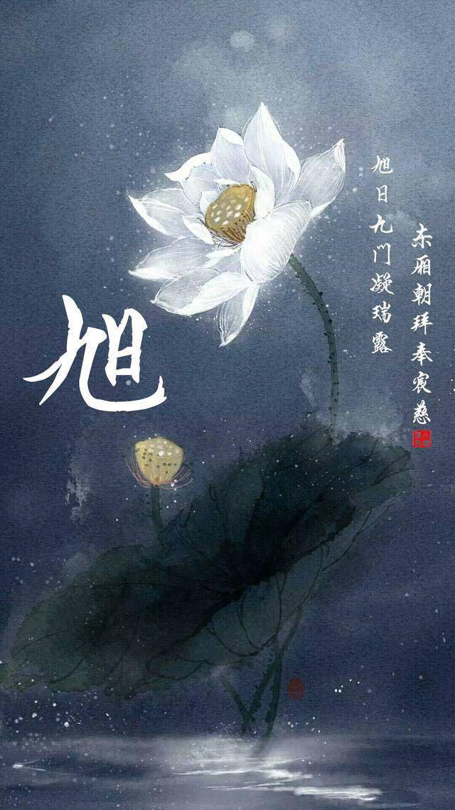 多种背景姓氏壁纸,快拿走你的姓氏壁纸