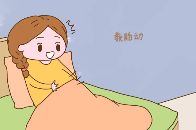 数胎动了解宝宝情况