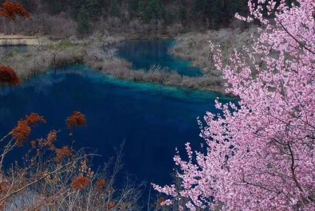 九寨沟景区3月重新开放!还多了一处新景观!