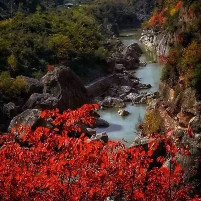 3月25日,让我们"飞"约陇南——这颗陕甘川黄金旅游线上的璀璨明珠