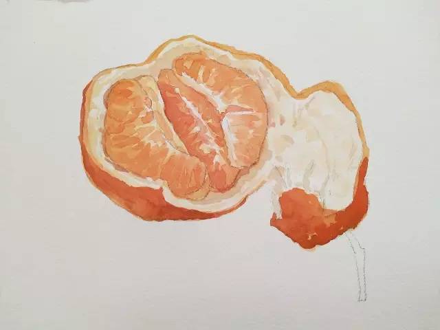 用铅笔轻轻画出丑橘的轮廓,线条要放松哦~ 3,画出橘子皮的颜色,画出