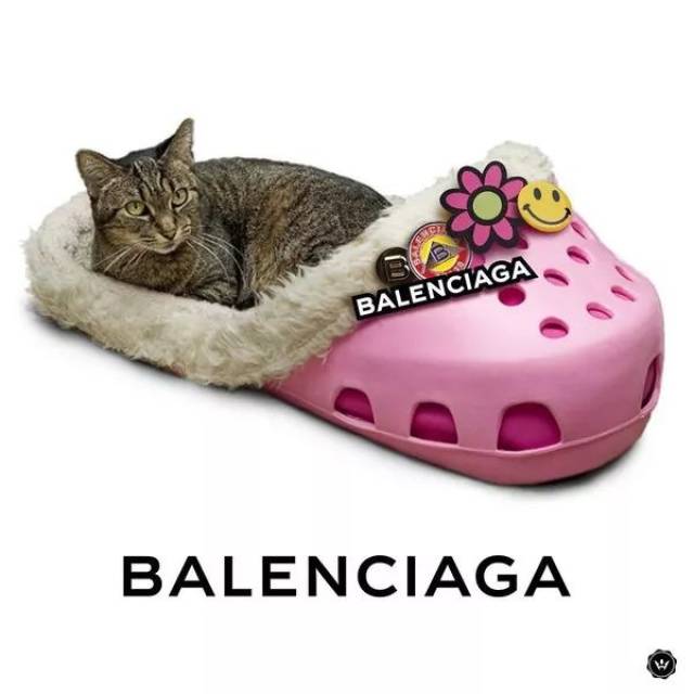 巴黎世家 (balenciaga) 的洞洞鞋改造成了猫窝,这一定是一只大富大贵