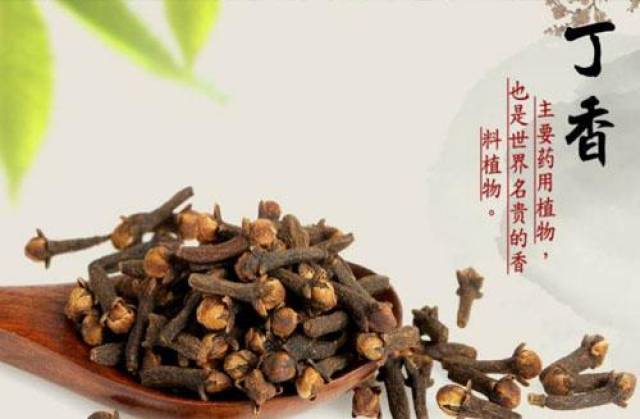 公香味就是丁香的丁香,母丁香花蕾a香味的就是,公果实的丁香非常浓,而2015v香味丁香园图片
